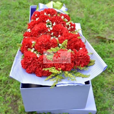 19朵红色康乃馨礼盒，朵朵鲜花进梦里