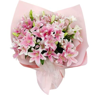 12支粉色多头百合,点亮我的心情