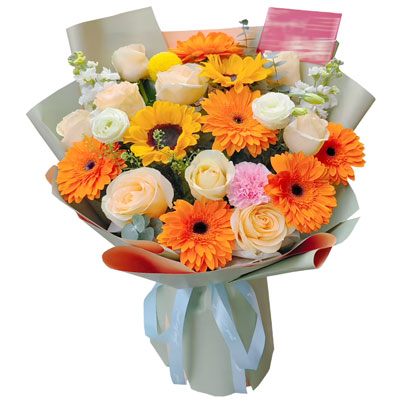 6ɫɻ9㙉õh(yun)ů