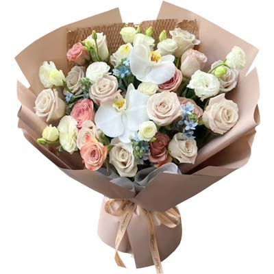 16朵玫瑰2支蝴蝶兰,容纳的你全部