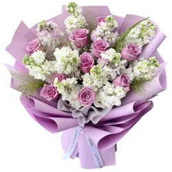 Ը���ǵİ���