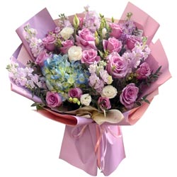 ���в�����