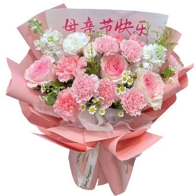 9朵粉色康乃馨3朵洛神粉玫瑰,美丽智慧并存