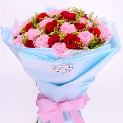您的爱是崇高的爱/21支粉色康乃馨玫瑰