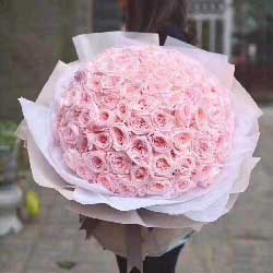 99朵粉色佳人玫瑰，永远都是幸福的