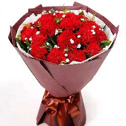 18朵红色康乃馨，照亮您的心房