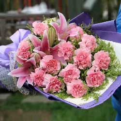 12朵粉色康乃馨，远方为你祝福