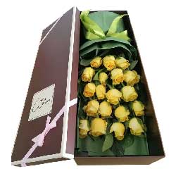 19朵黄玫瑰礼盒，一生的最爱
