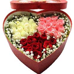 33朵玫瑰花，礼盒装，坠入你的情网