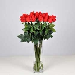 19朵红玫瑰，瓶插花，我们的爱永驻幸福港湾