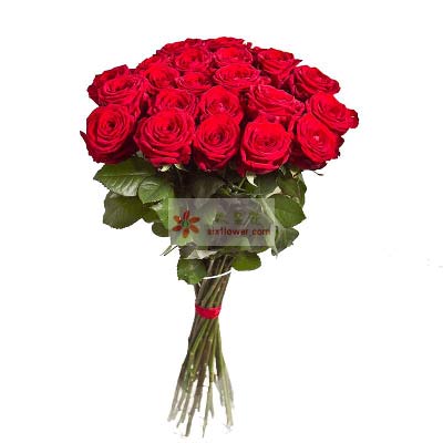 25朵红玫瑰，爱你之心久久
