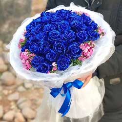 33支蓝玫瑰，爱的见证