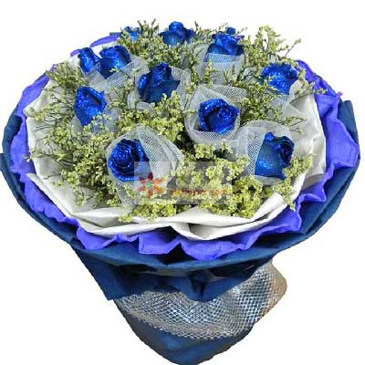 11朵蓝玫瑰，轻轻地说声我爱你