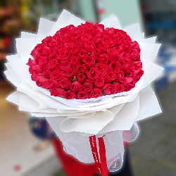 99朵红玫瑰，你是我的天上人间