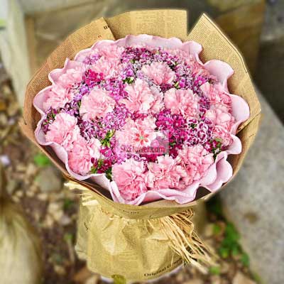 19朵粉色康乃馨，祝您幸福安康