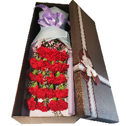 20朵红色康乃馨礼盒，祝你快乐