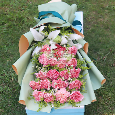 19朵粉色康乃馨，礼盒装，永远安康幸福
