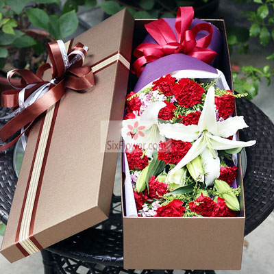16朵红色康乃馨，礼盒装，青春不变