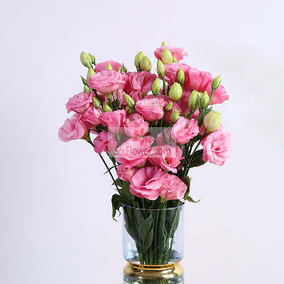 桔梗瓶插花 让花更美丽 六朵花