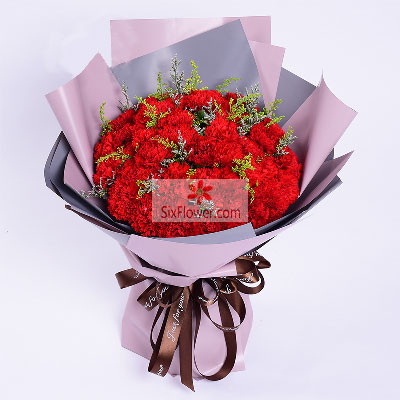 33朵红色康乃馨，愿您在未来的岁月中永远快乐健康