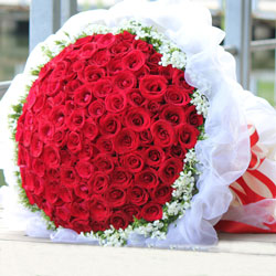 101朵红玫瑰，嫁给我吧