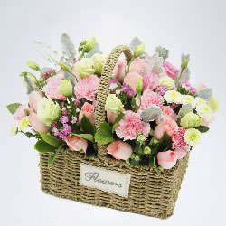 22朵戴安娜粉玫瑰，11朵粉色康乃馨，开心愉悦