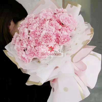 33朵粉色康乃馨，愿您福寿安康