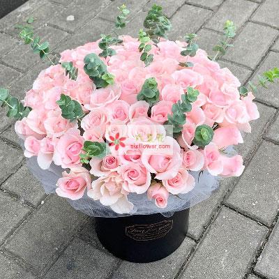 33朵戴安娜粉玫瑰，桶装鲜花，有你生活更美好