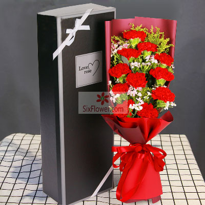 11朵红色康乃馨，礼盒装，妈妈关爱的每天