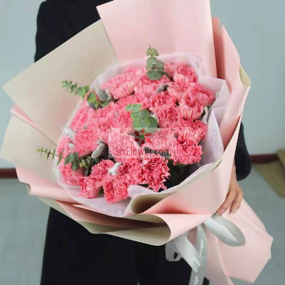 26朵粉色康乃馨，牵挂着您