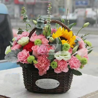 19朵粉色康乃馨，精致花篮，祝您幸福健康