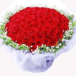 99朵红玫瑰，与你分享一切