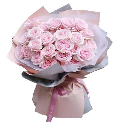 22朵粉玫瑰，相爱一生