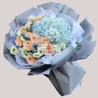 12朵香槟玫瑰，2只蓝色绣球花，谢谢你的爱