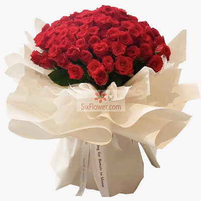 99朵红玫瑰，你是我心中最美的花