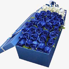 33朵蓝玫瑰，让爱永不变