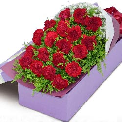 19朵红色康乃馨礼盒，感恩有您