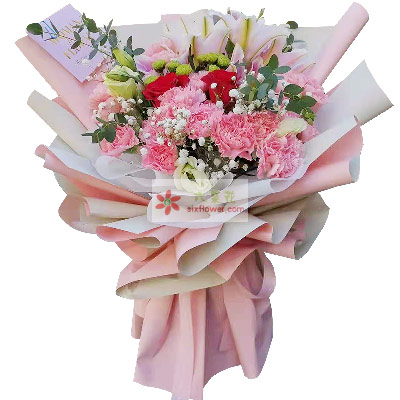 18朵粉色康乃馨红玫瑰百合，生活更幸福