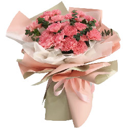 19朵粉色康乃馨，亲情在这世间