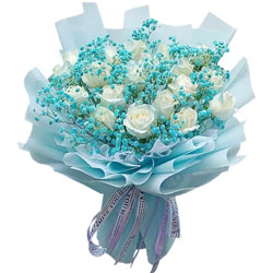 19朵白玫瑰蓝色满天星，浪漫的情感