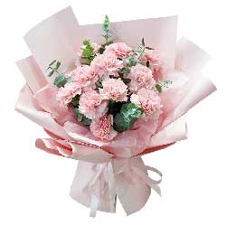 11朵粉色康乃馨，心灵的港湾