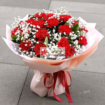33朵红色康乃馨满天星，无私的，健康、</p><p><img lang=