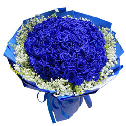 99朵蓝玫瑰，温柔的缠绵