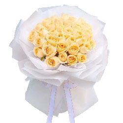 33朵黄玫瑰，温馨的情人节