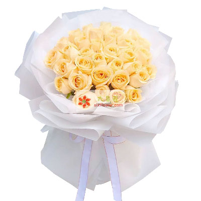 33朵黄玫瑰，温馨的情人节