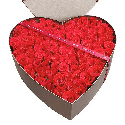99朵红玫瑰礼盒，最深和最重的爱