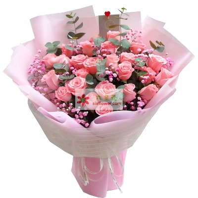 33朵戴安娜粉玫瑰，美丽多姿
