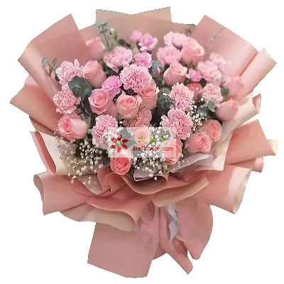16朵戴安娜粉玫瑰康乃馨，浪漫甜蜜