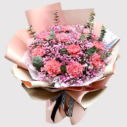 11朵粉色康乃馨满天星，祝您节日快乐