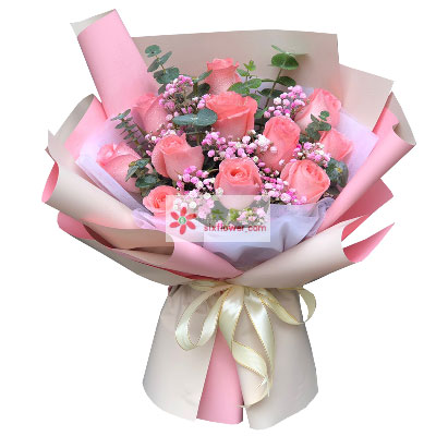 11朵戴安娜粉玫瑰满天星，给你一生一世的爱